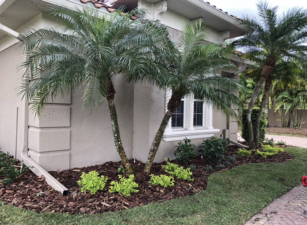Mulch and landscape edging installation