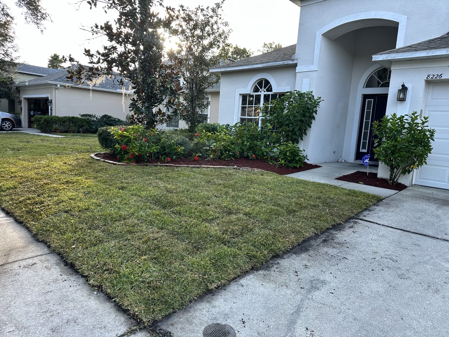 Re-sod project photo 1